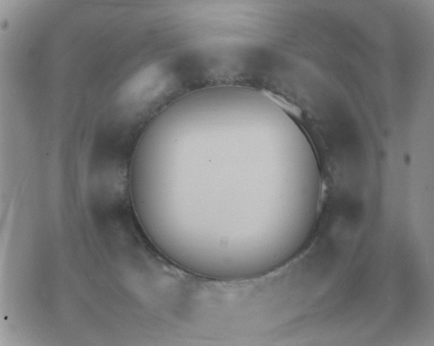 X0000070430033200606302137