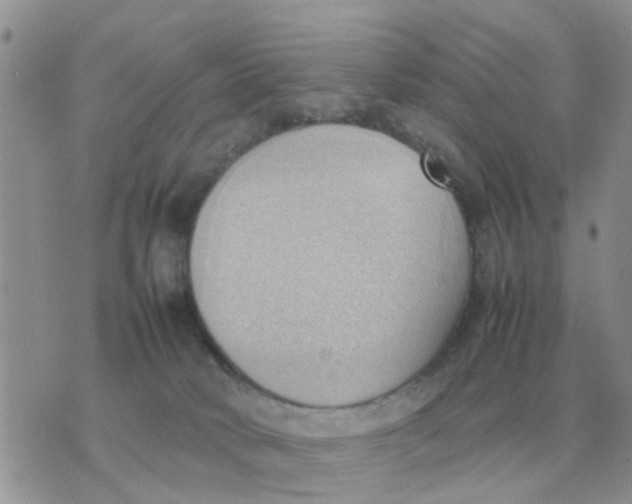 X0000070430034200606302137