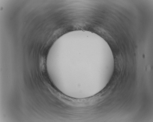 X0000070430038200606302137