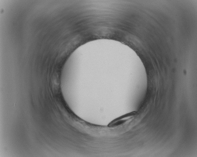 X0000070430040200606302137