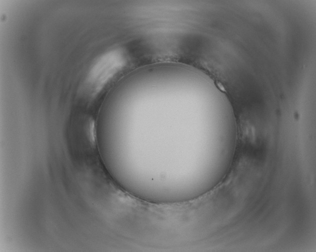 X0000070430041200606302137