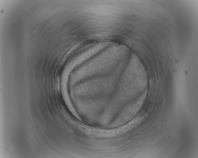 X0000070430048200606302137