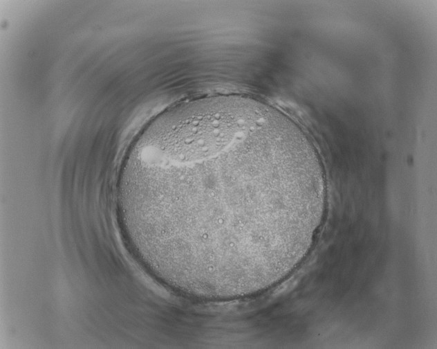 X0000070430049200606302136