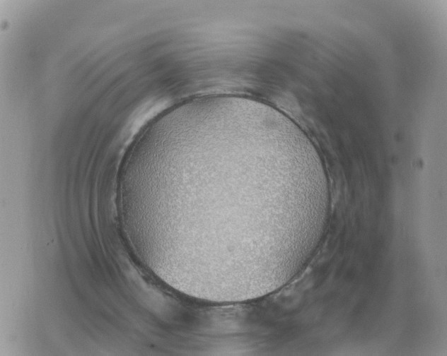 X0000070430050200606302136