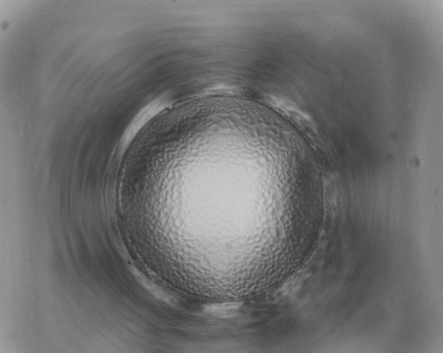 X0000070430051200606302136