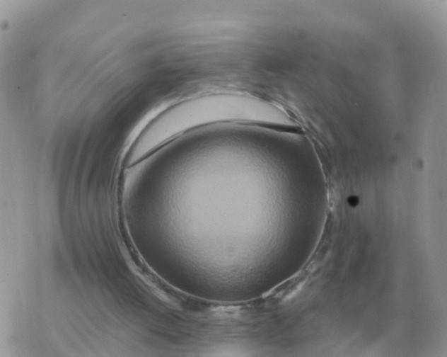 X0000070430052200606302136