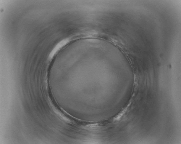 X0000070430054200606302136