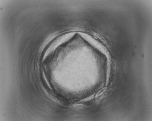 X0000070430055200606302136