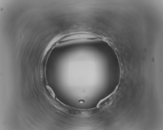 X0000070430056200606302136