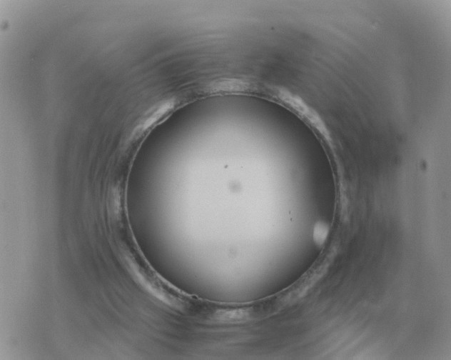 X0000070430057200606302136