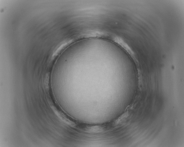 X0000070430058200606302136