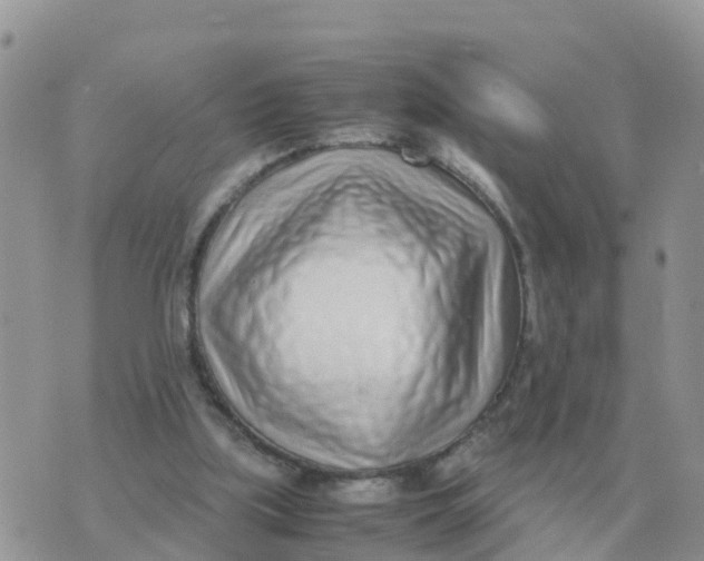 X0000070430059200606302136