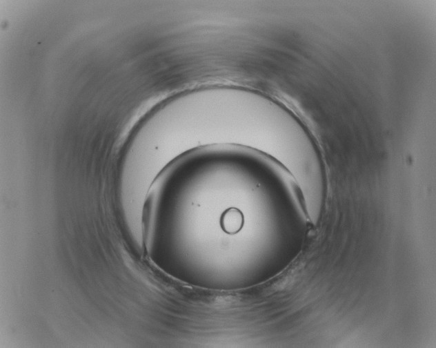 X0000070430060200606302136