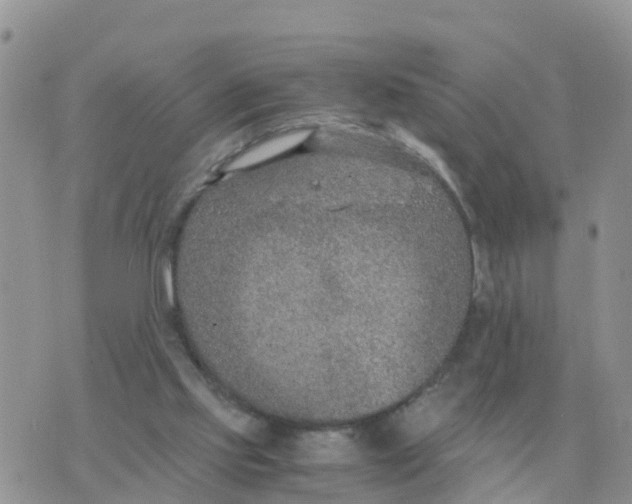 X0000070430061200606302136