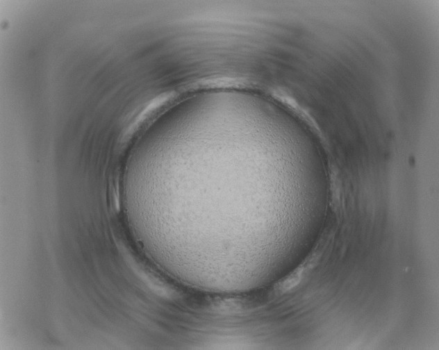 X0000070430062200606302136