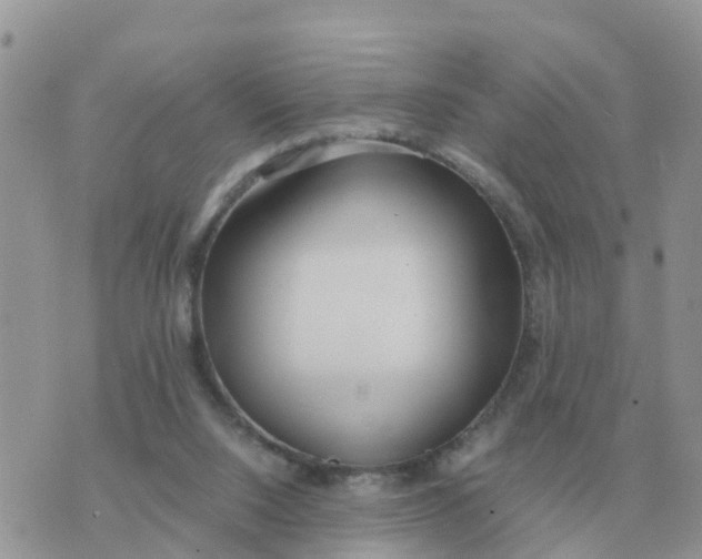 X0000070430064200606302136