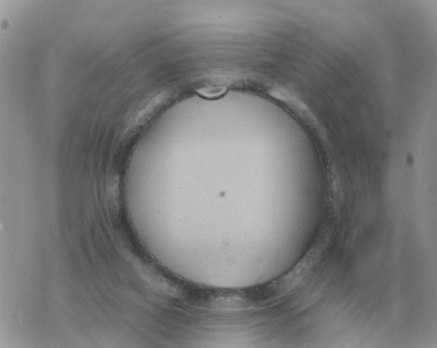 X0000070430066200606302136