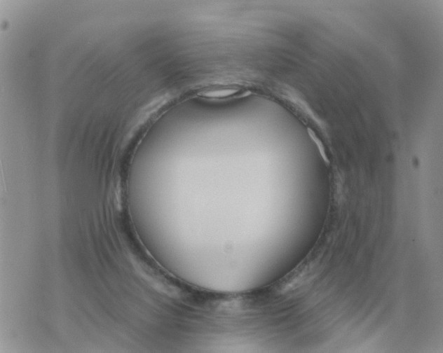 X0000070430068200606302137