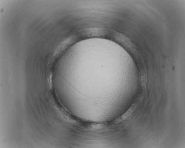 X0000070430070200606302137