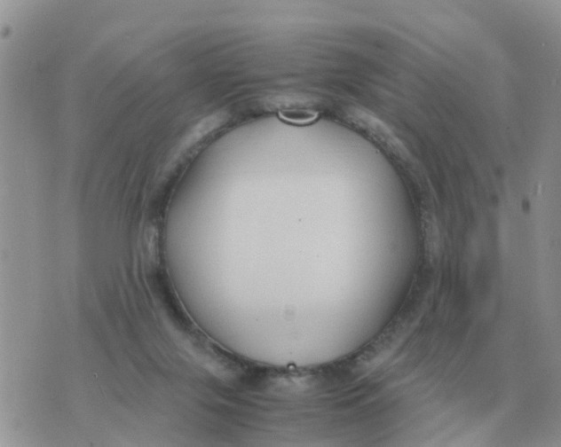 X0000070430071200606302137