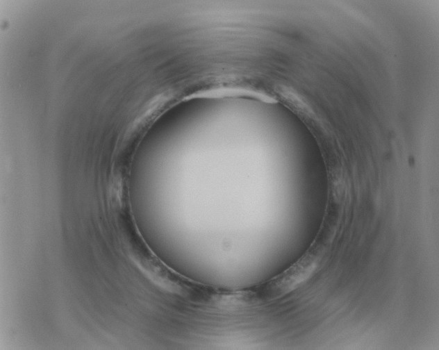 X0000070430072200606302137