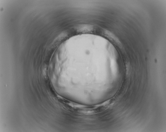 X0000070430073200606302137