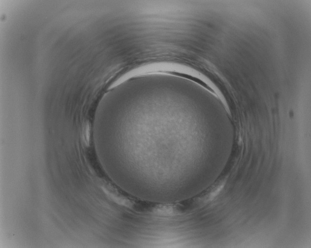 X0000070430076200606302137