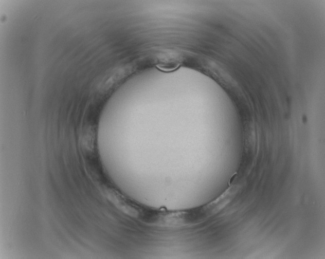 X0000070430078200606302137