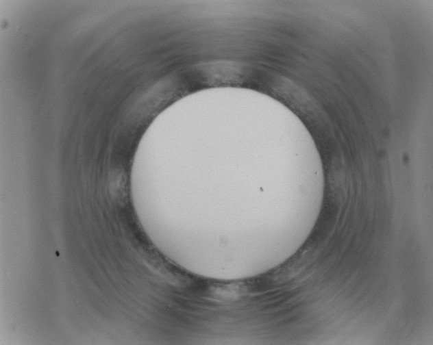 X0000070430079200606302137