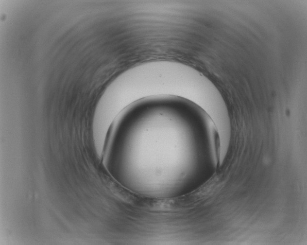 X0000070430080200606302137