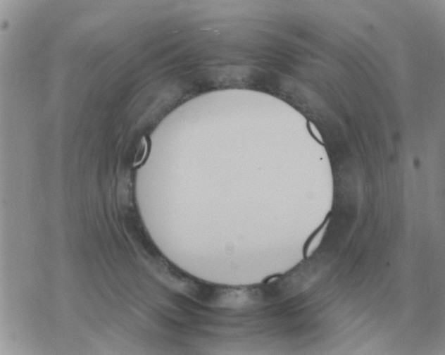 X0000070430083200606302137