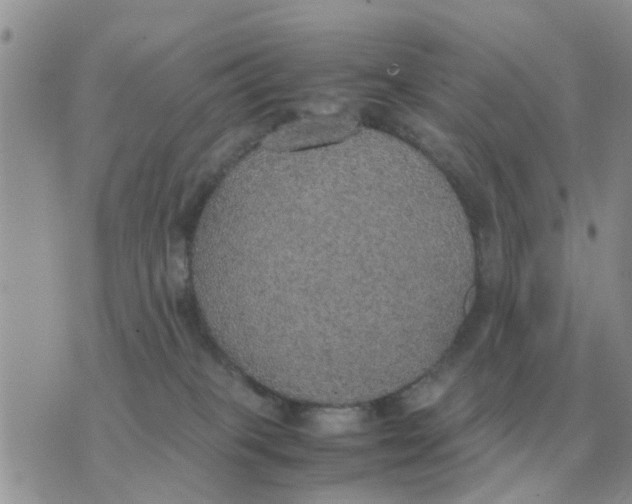 X0000070430085200606302137