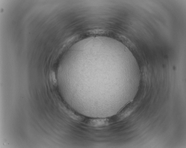 X0000070430089200606302137