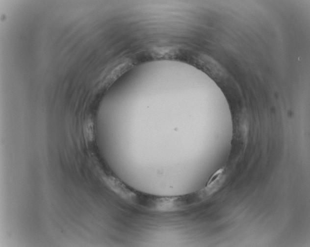 X0000070430090200606302137