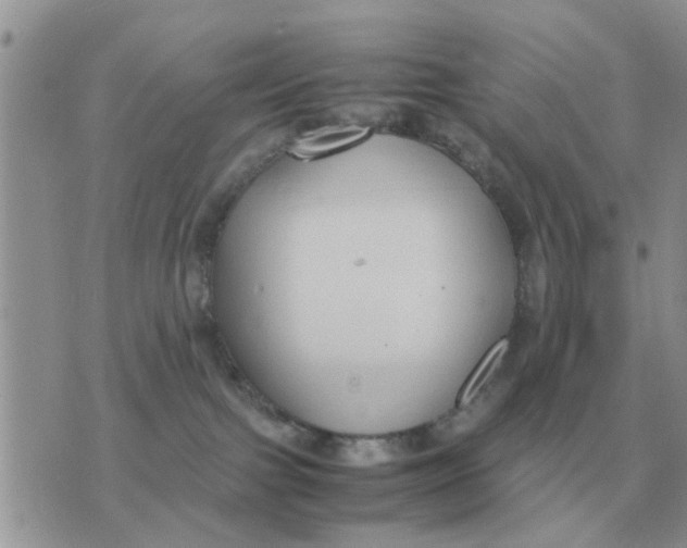 X0000070430091200606302137