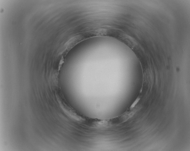 X0000070430092200606302137