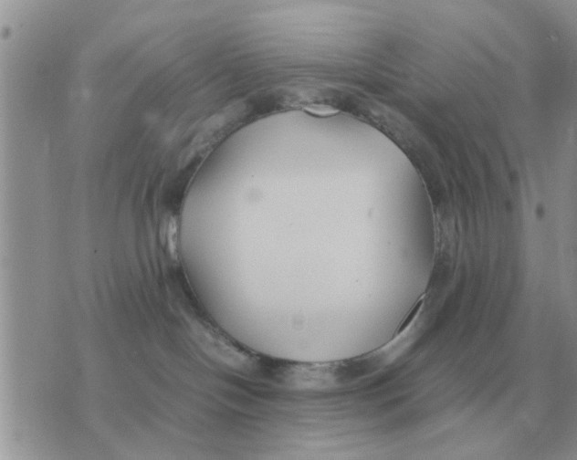 X0000070430094200606302137