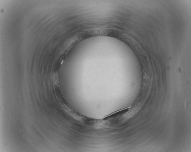 X0000070430096200606302137