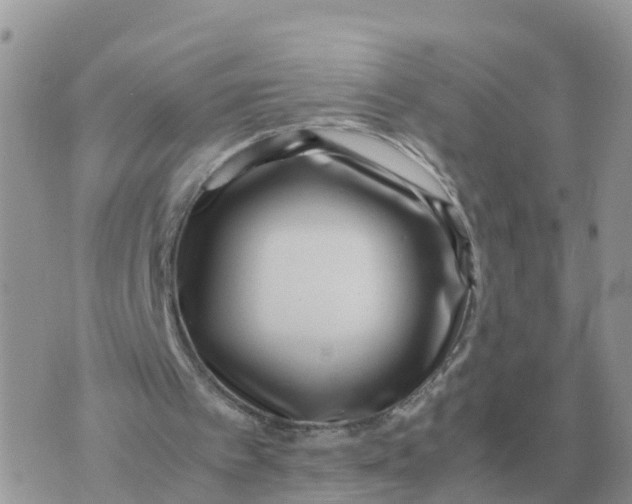 X0000070430097200606302136