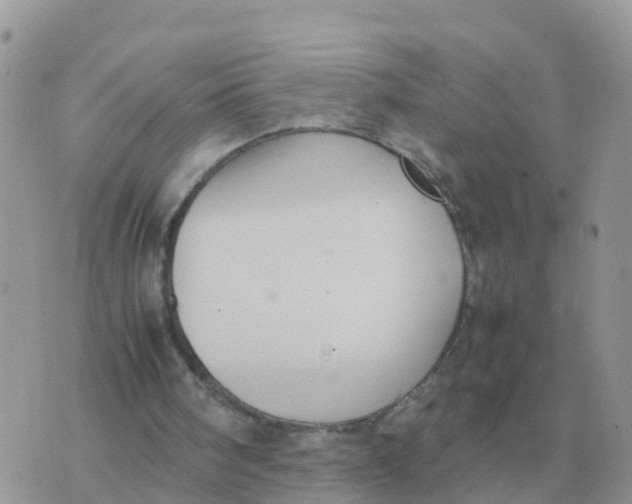 X0000070430098200606302136