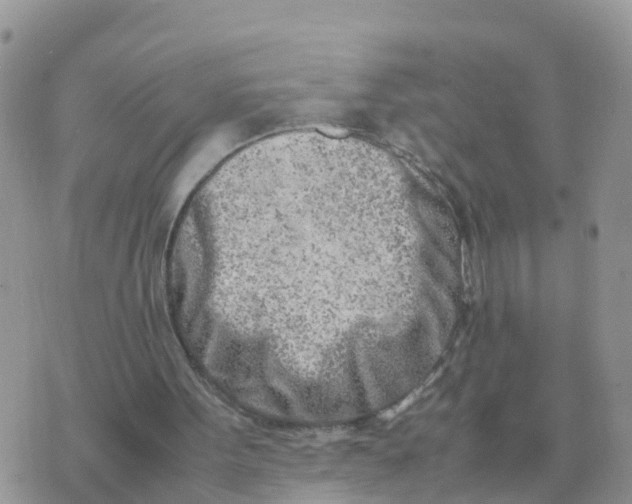 X0000070430099200606302136