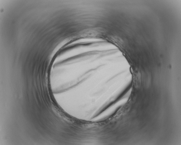 X0000070430100200606302136