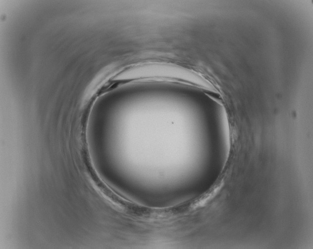 X0000070430101200606302136