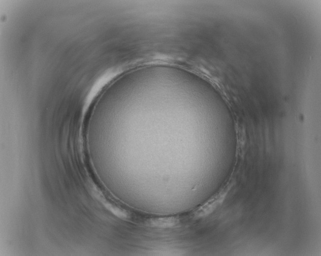 X0000070430102200606302136