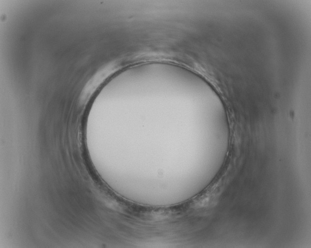 X0000070430103200606302136