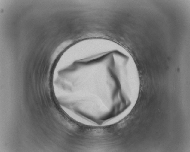 X0000070430104200606302136