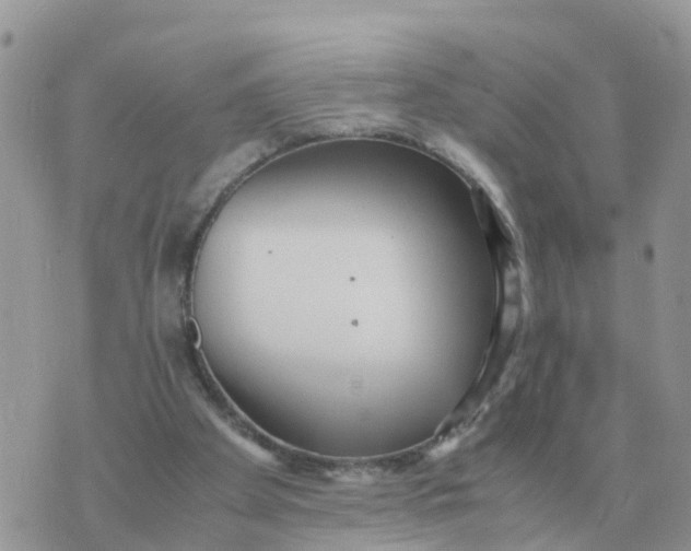 X0000070430105200606302136