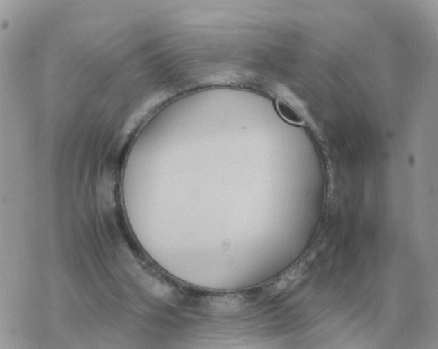 X0000070430106200606302136