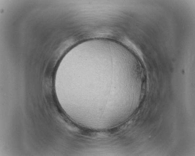 X0000070430107200606302136