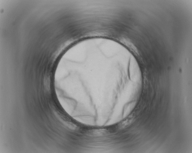 X0000070430108200606302136